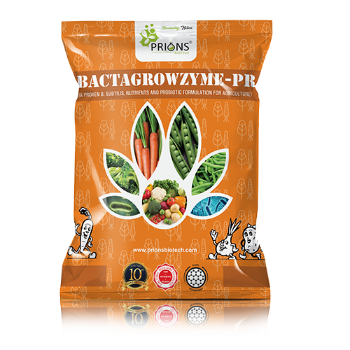 Microorganisms Biofertilizers (Phosphate Solubilizing Fungi and B. Subtilis, Probiotic Formulation)