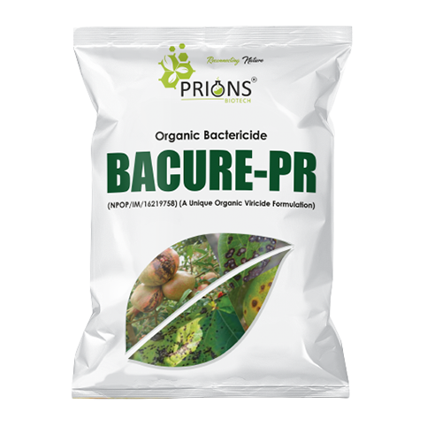 Organic Bactericide