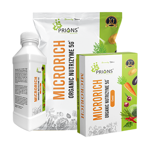 Organic Nutrizyme-5G for Rapid Nutrient Uptake in Plants