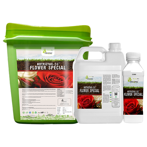 EDTA Chelated Micornutrients Fe, Zn, Cu, B and Mn Flower Special