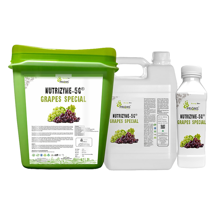 Organic Nutrizyme-5G