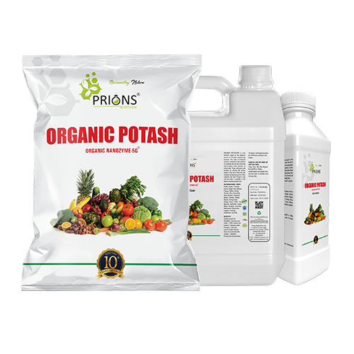Biofertilizer based on Potash Solubilizing Frateuria