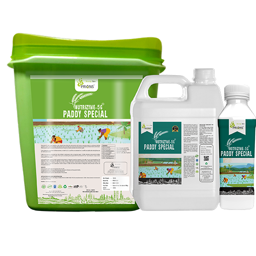 Paddy Special Micronutrients (Organic Nanozyme-5G Paddy Areca special)