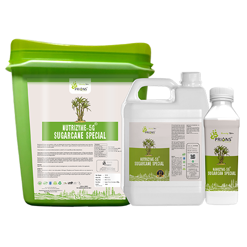 Micronutrients for Sugarcane