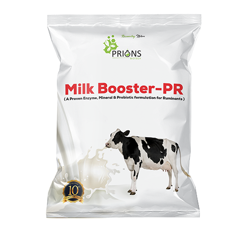 MILK BOOSTER-PR Enhance Milk Yield and Digestibility for Cattle