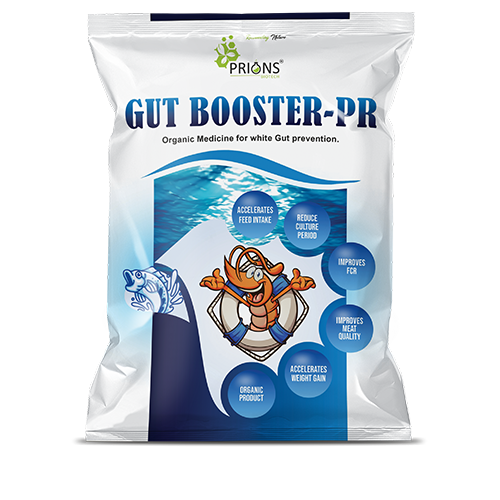 Organic Medicine for White Gut Prevention