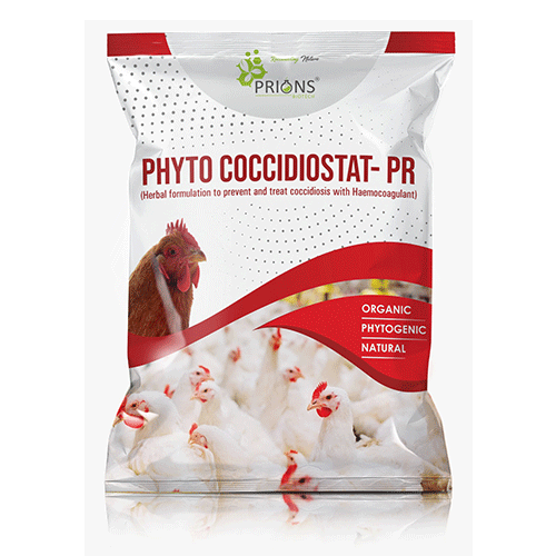 Instant Energy Releaser and Stress Killer for Poultry