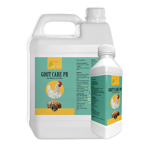 Gout Reducer for Poultry
