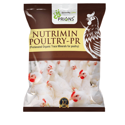 Instant Energy Releaser and Stress Killer for Poultry