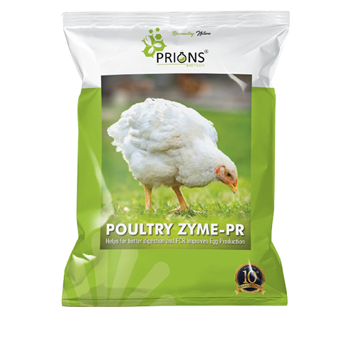 Enzyme Feed Additive for Better Digestion and FCR