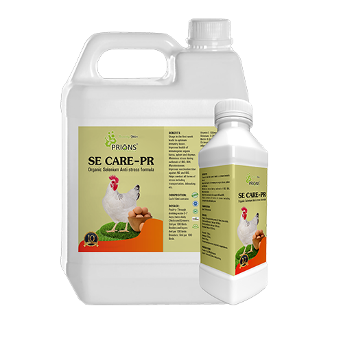 Organic Selenium Anti-Stress Formula for Poultry
